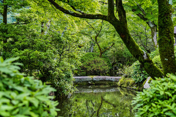 Detail with a Japanese garden and a water pond on the grounds of Kiyomizu-dera temple, in Kyoto.