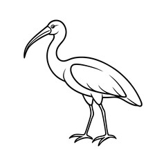 Minimalist Line Drawing Of Ibis Illustration.Ibis Line Drawing Simple Illustration