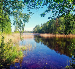 Quiet lake inlet surrounded by lush greenery and trees reflecting in the calm water