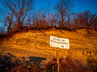 Von der Abendsonne angestrahlte Böschung