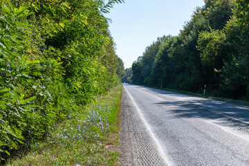 Asphalt road in the countryside