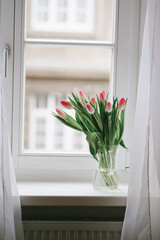 Tender pink tulip flowers in the glass vase on the window in the spring morning. White springtime interior