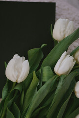 Tender white tulips on the black background 