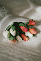 Lovely pink and white tulip flowers in the paper on the bed in the spring morning. Romantic gift in the springtime 
