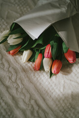 Tender pink and white tulip flowers in the paper on the bed in the spring morning. Romantic gift in the springtime