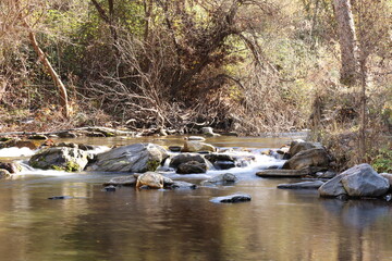 river in the woods fall