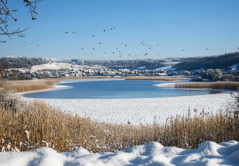 Stunning Winter Lake Landscape: Snow-Covered Village, Frozen Water, Birds in Flight