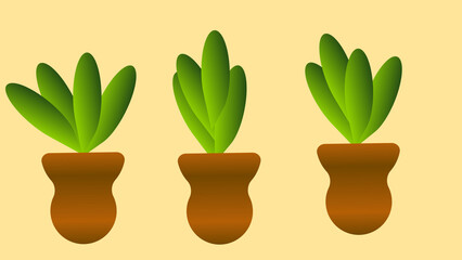 Indoor Plants image for Decor