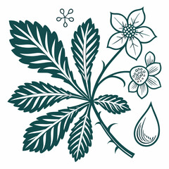 black and white flower