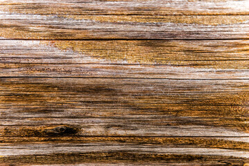 Fototapeta premium A close-up of weathered wooden planks showing natural knots and grain patterns.