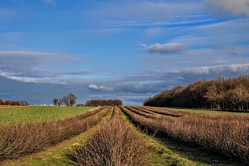 Countryside landscape 