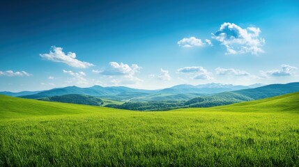 Obraz premium Serene Green Meadow Landscape with Distant Mountains and Blue Sky