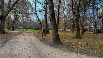 A serene, leaf-strewn park pathway on a cloudy autumn day, capturing the essence of fall solitude and reflection