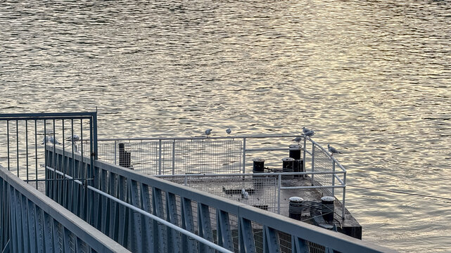 Seagulls perched on a pier marked Margitsziget, szallodak at sunset, representing tranquility and urban escape in Budapest