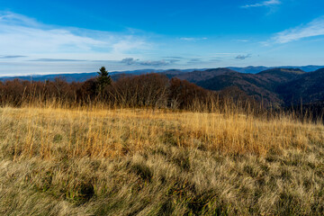 Beau paysage automnal à Sewen, au Ballon d'Alsace.