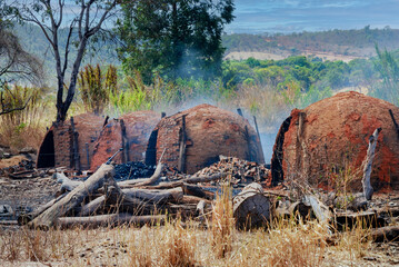 Ovens clays, clandestine, used for charcoal producing from deforested trees of the Cerrado,...