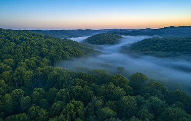 Misty Morning Sunrise Over Lush Green Forest Valley