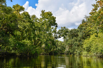 View kayaking down econlockhatchee river in Little Big Econ State Park in Seminole County just north of Orlando, Florida. 