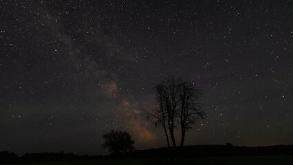 Naklejka premium starry night sky