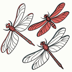 set of dragonfly