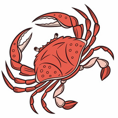illustration of a crab