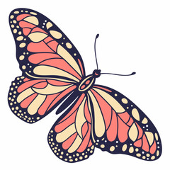 butterfly on a white background