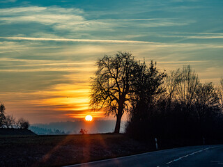 Sonnenuntergang hinter B&auml;umen