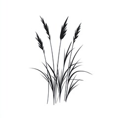 Silhouette of tall grasses with slender blades