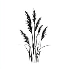 Black Silhouette Of Tall Grass Blades