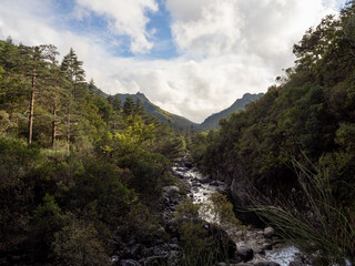 A view of contrasts in the magical Albergaria Forest, with part of the dense forest dark and another illuminated by the sun that crosses the sky with clouds. In the center, Homem River. Portugal.