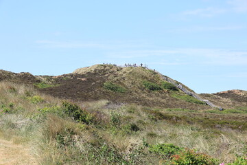 Blick auf die Küstenlandschaft bei Kampen auf der Nordfriesischen Insel Sylt	