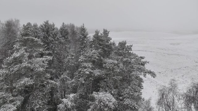 Winter landscape from a bird's eye view..by Lake Siver, Latvia, Latgale.