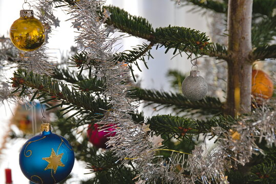 Tanne mit Weihnachtsbaumbehang - Christbaumkugel
