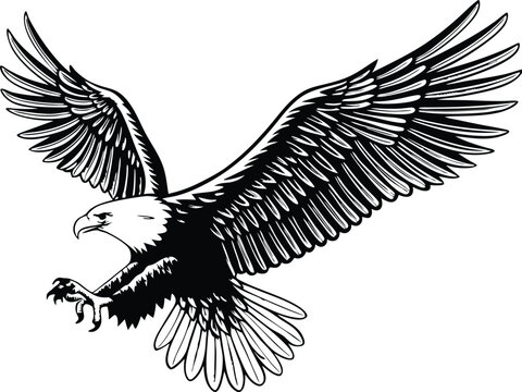 recommend clip art: Majestic Bald Eagle Soaring, Wings Spread Wide, Black and White Illustration