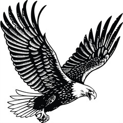 Majestic Bald Eagle Soaring, Wings Spread Wide, Black Ink Drawing
