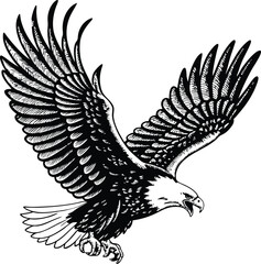 Majestic Bald Eagle Soaring, Wings Spread Wide, Black Ink Drawing