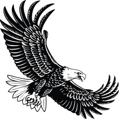 Majestic Bald Eagle Soaring, Wings Spread Wide, Black and White