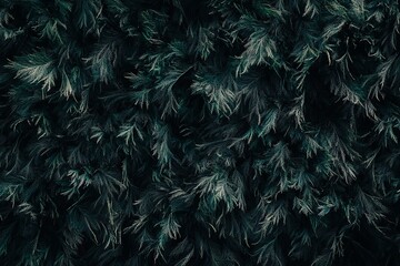Lush dark green foliage texture background.