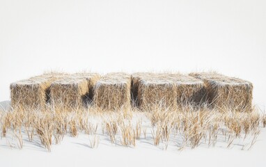 Winter Reeds and Snowy Field with Golden Grains