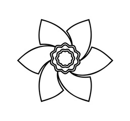 daffodil - narcissus flower isolated on white background