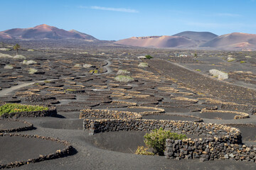 Photo showing farming techniques used in Lanzarote in the Canary Islands of Spain