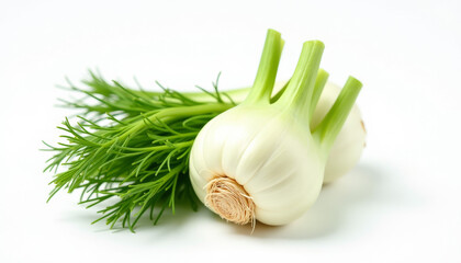 Fresh Fennel Bulbs and Herbs - A Culinary Delight