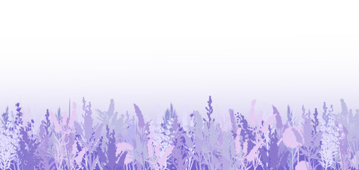 Lavender flowers, lavender field bushes silhouette pattern banner background. Floral blossom bloom  spring floral plants grass print web template for text