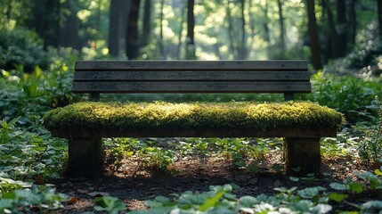 Naklejka premium Mossy Wooden Bench In A Sunlit Forest