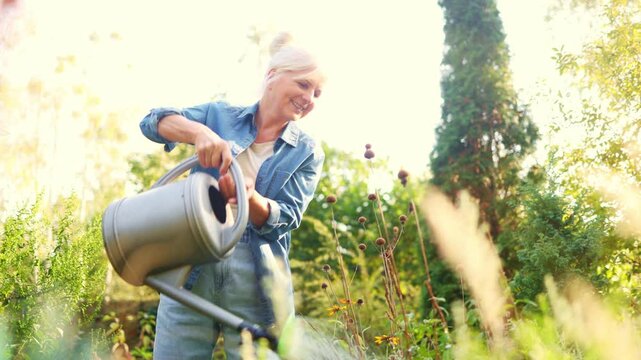 Senior woman working in her garden on a sunny day
