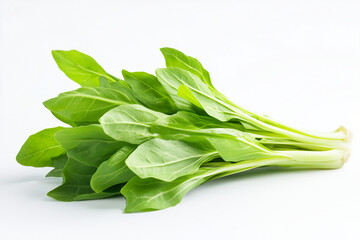 Mizuna lettuce isolated Japanese Mustard, vegetable salad for good health on white background