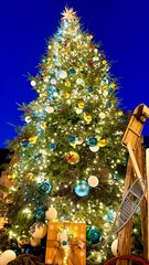 CHRISTMAS TREE AT NIGHT