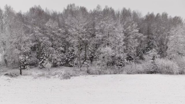 Winter landscape from a bird's eye view..by Lake Siver, Latvia, Latgale.
