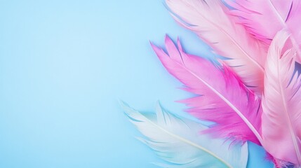 Colorful feathers on a blue background.