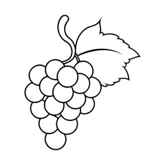 Simple black and white outline of a grape bunch with leaves